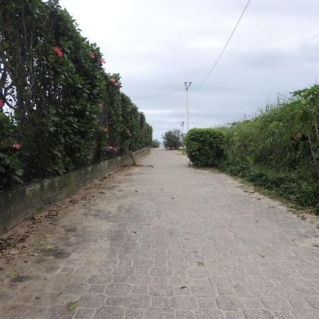 Lindo Apartamento 500M Da Praia Ingleses Norte Florianópolis Exteriér fotografie